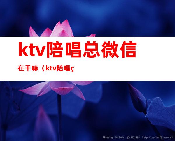 ktv陪唱总微信在干嘛（ktv陪唱的加微信什么意思）