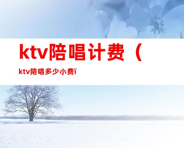 ktv陪唱计费(ktv陪唱多少小费)