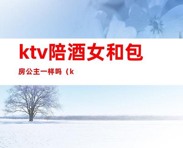 ktv陪酒女和包房公主一样吗(ktv陪酒和公主的区别)