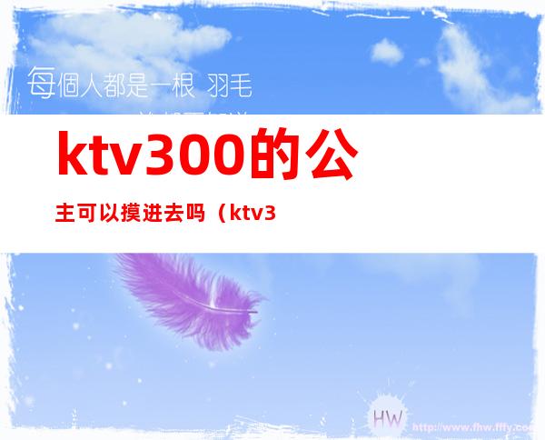 ktv300的公主可以摸进去吗(ktv300的公主是做什么的啊)