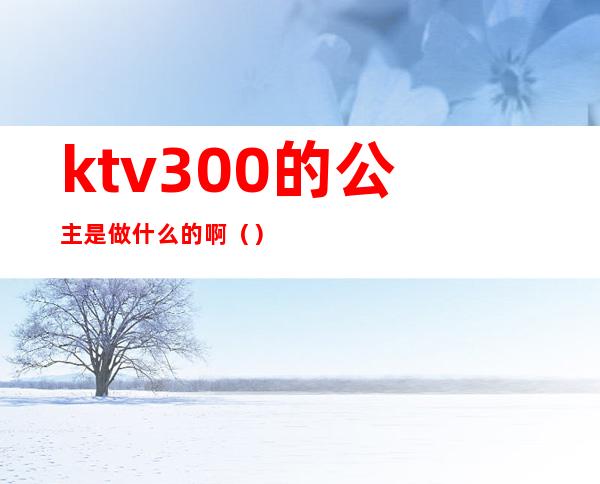 ktv300的公主是做什么的啊()