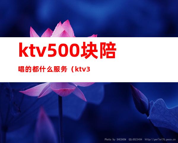 ktv500块陪唱的都什么服务(ktv300元陪唱2个小时)
