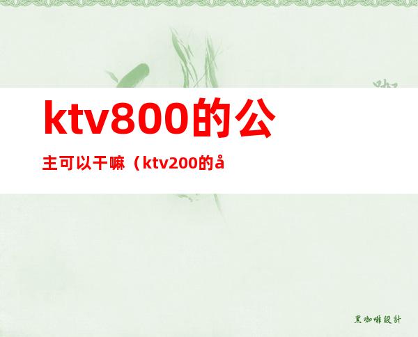 ktv800的公主可以干嘛(ktv200的公主能做什么)