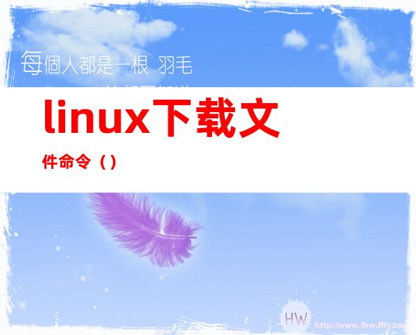 linux下载文件命令（）