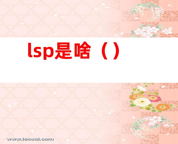 lsp是啥()