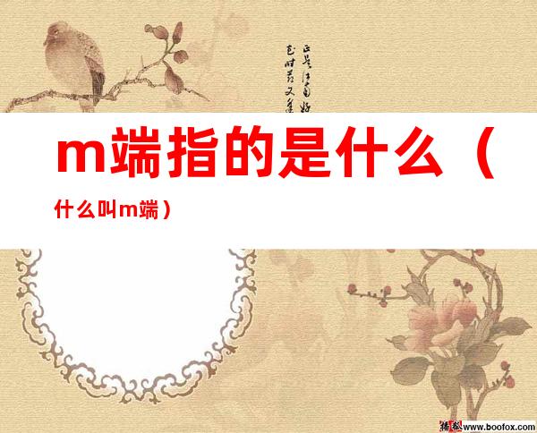 m端指的是什么(什么叫m端)