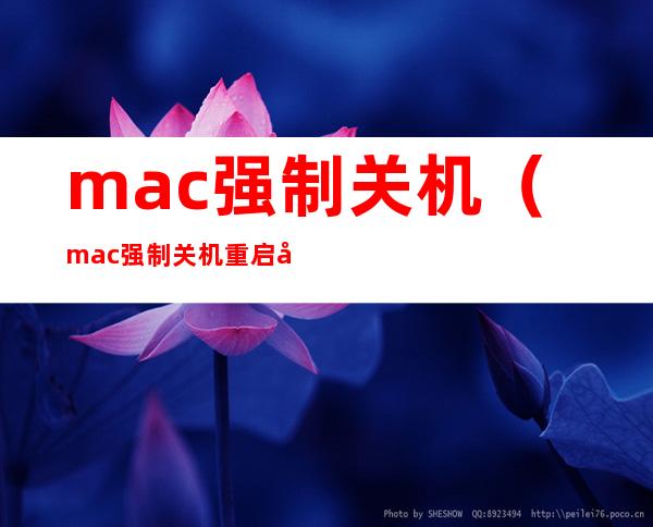 mac强制关机(mac强制关机重启快捷键)