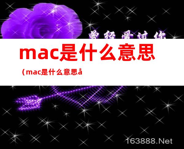 mac是什么意思(mac是什么意思地址)