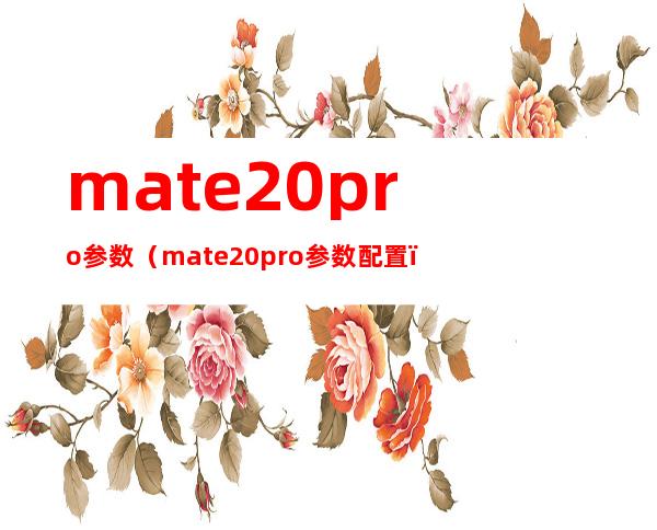 mate20pro参数(mate20pro参数配置)