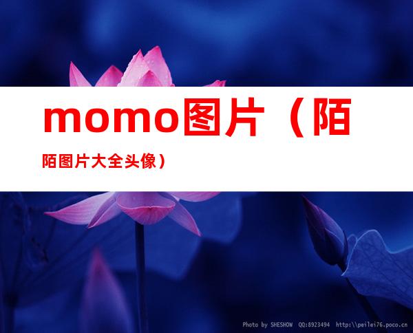 momo图片(陌陌图片大全 头像)