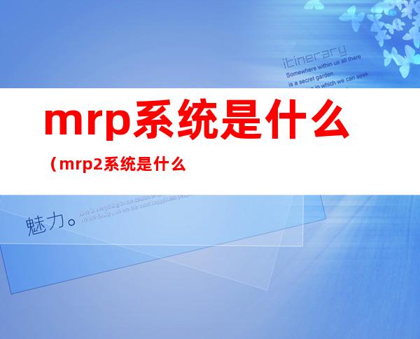 mrp系统是什么（mrp2系统是什么）