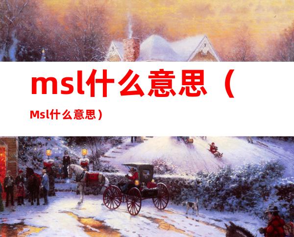 msl什么意思(Msl什么意思)