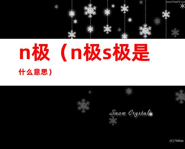 n极(n极s极是什么意思)