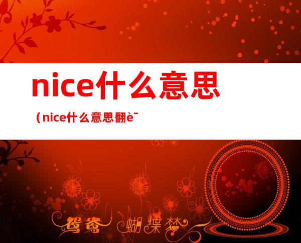 nice什么意思(nice什么意思翻译成中文)