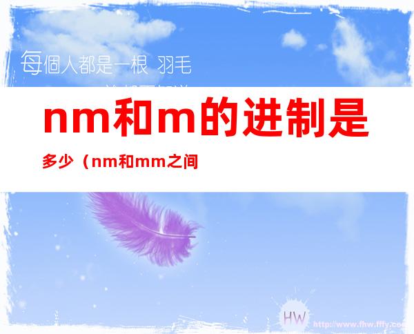 nm和m的进制是多少(nm和mm之间)