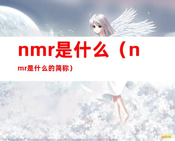 nmr是什么(nmr是什么的简称)