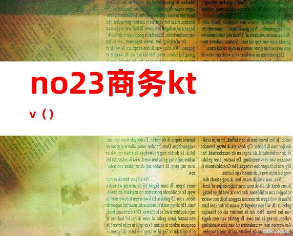 no23商务ktv()