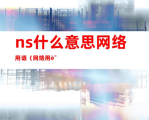 ns什么意思网络用语(网络用语nsi是什么意思)