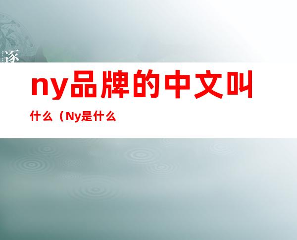 ny品牌的中文叫什么(Ny是什么牌子中文名)