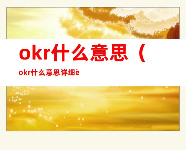okr什么意思(okr什么意思详细英文)