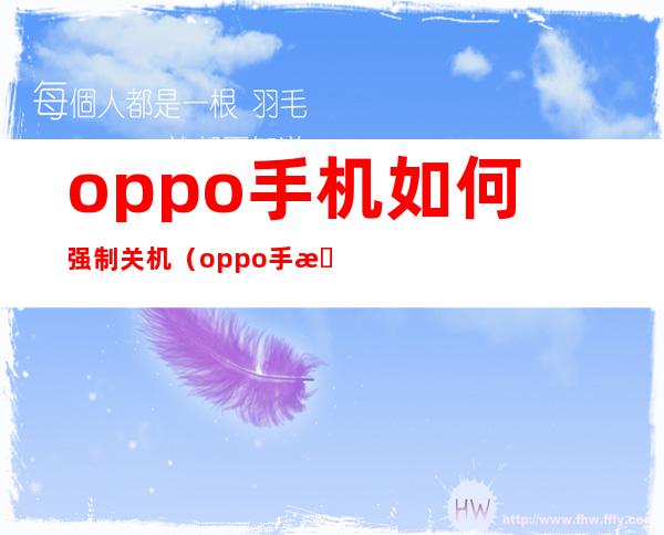 oppo手机如何强制关机(oppo手机怎样强制关机呢)