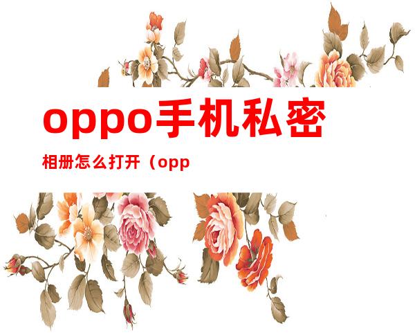 oppo手机私密相册怎么打开(oppo手机私密相册怎么打开?)
