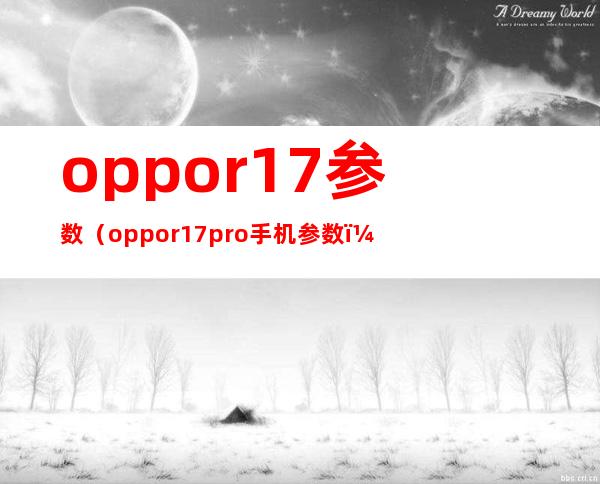 oppor17参数(oppor17pro手机参数)