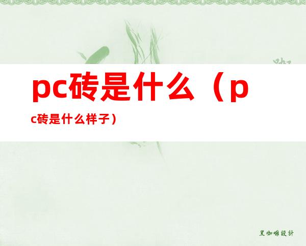 pc砖是什么（pc砖是什么样子）