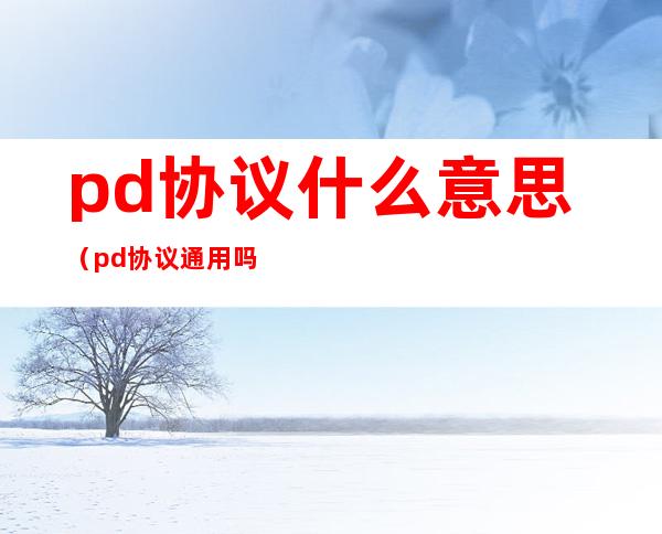 pd协议什么意思(pd协议通用吗)