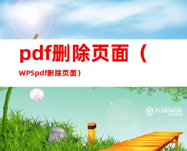 pdf删除页面(WPS pdf删除页面)