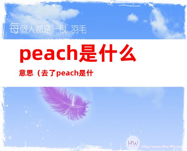 peach是什么意思(去了peach是什么意思)