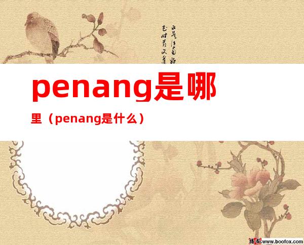 penang是哪里(penang是什么)