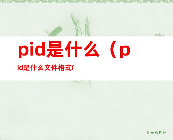 pid是什么(pid是什么文件格式)