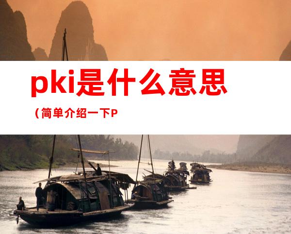 pki是什么意思(简单介绍一下PKI)