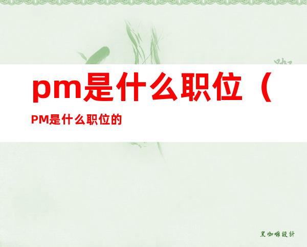 pm是什么职位?(PM是什么职位的简称)