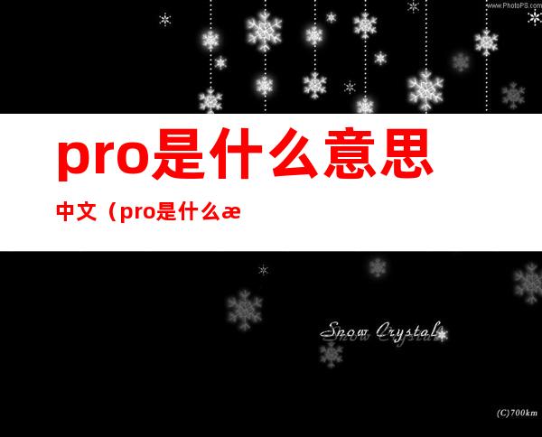 pro是什么意思中文(pro是什么意思中文生产日期吗)