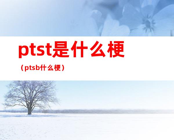 ptst是什么梗(ptsb什么梗)
