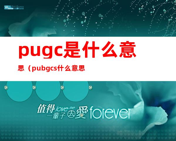 pugc是什么意思(pubgcs什么意思)
