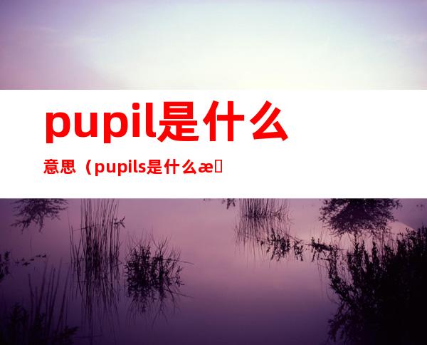 pupil是什么意思(pupils是什么意思英语)