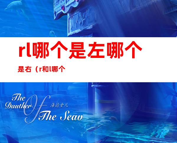 rl哪个是左哪个是右(r和l哪个是左哪个是右)