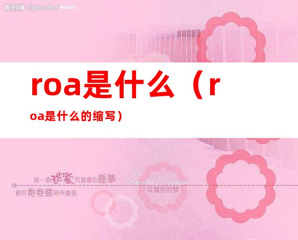 roa是什么(roa是什么的缩写)