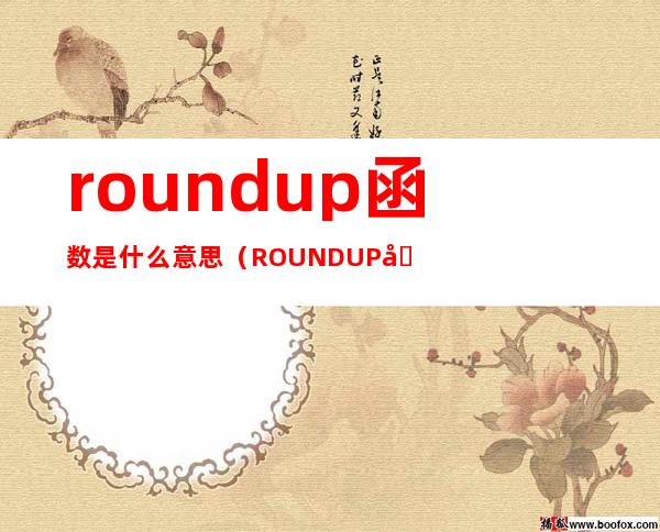roundup函数是什么意思(ROUNDUP函数)