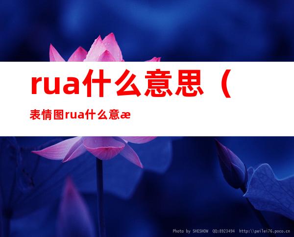rua什么意思(表情图rua什么意思)