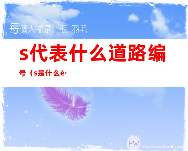 s代表什么道路编号(s是什么路的标志)
