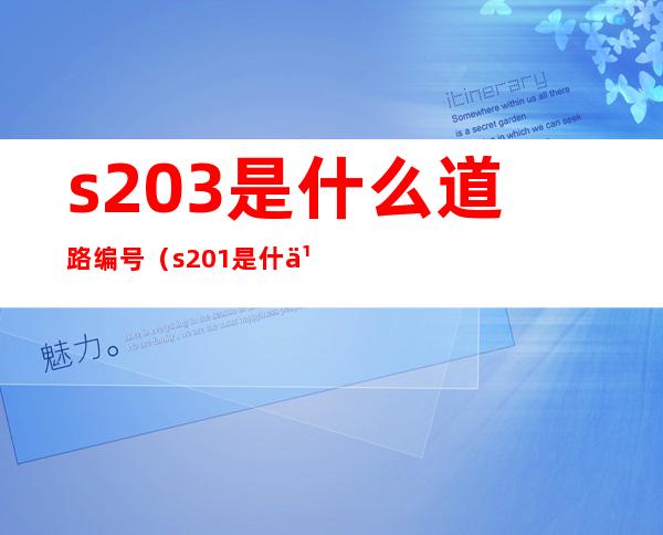 s203是什么道路编号(s201是什么道路编号)