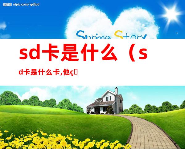sd卡是什么（sd卡是什么卡,他的功能是什么）