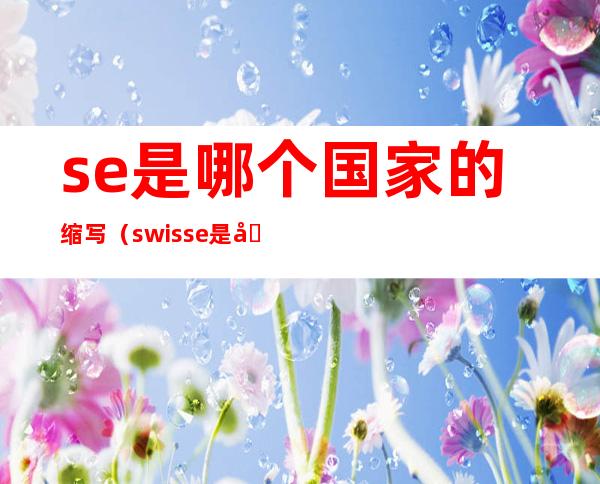 se是哪个国家的缩写(swisse是哪个国家的缩写)