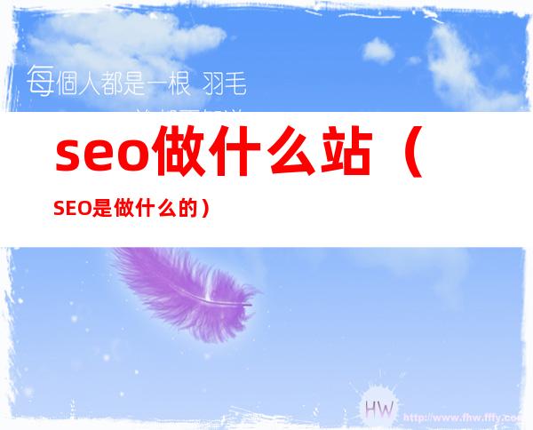 seo做什么站(SEO是做什么的)