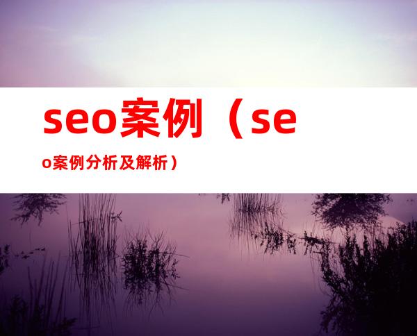 seo案例（seo案例分析及解析）