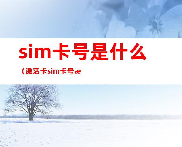 sim卡号是什么(激活卡sim卡号是什么)